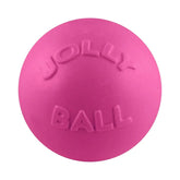 Bounce-N-Play-Rover Pet Products